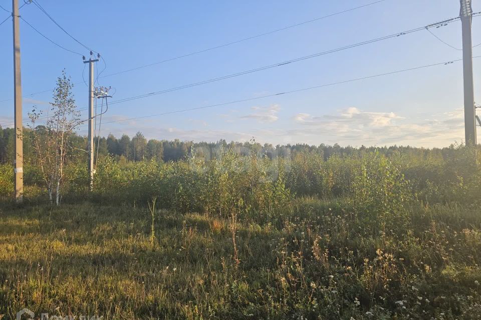 земля р-н Тюменский с. Салаирка фото 3