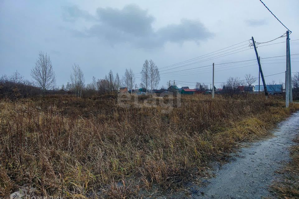 земля г Тюмень снт Липовый остров ул 1-я Западная Тюмень городской округ фото 3