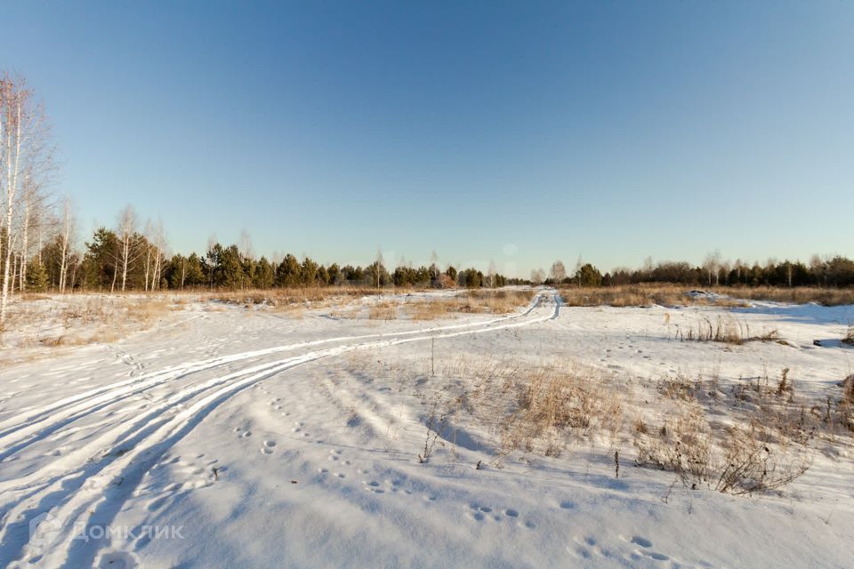 земля р-н Ленинский с. Каменское фото 3