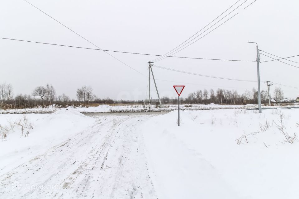 земля г Тюмень Тюмень городской округ, СНТ Березняки фото 2