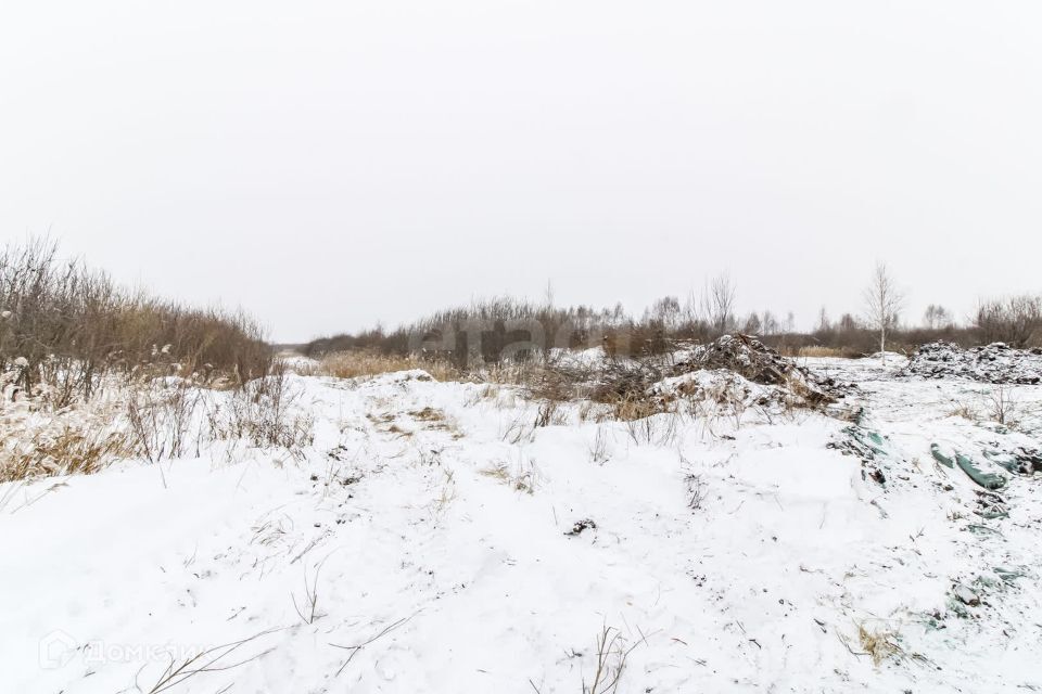 земля г Тюмень Тюмень городской округ, СНТ Березняки фото 3