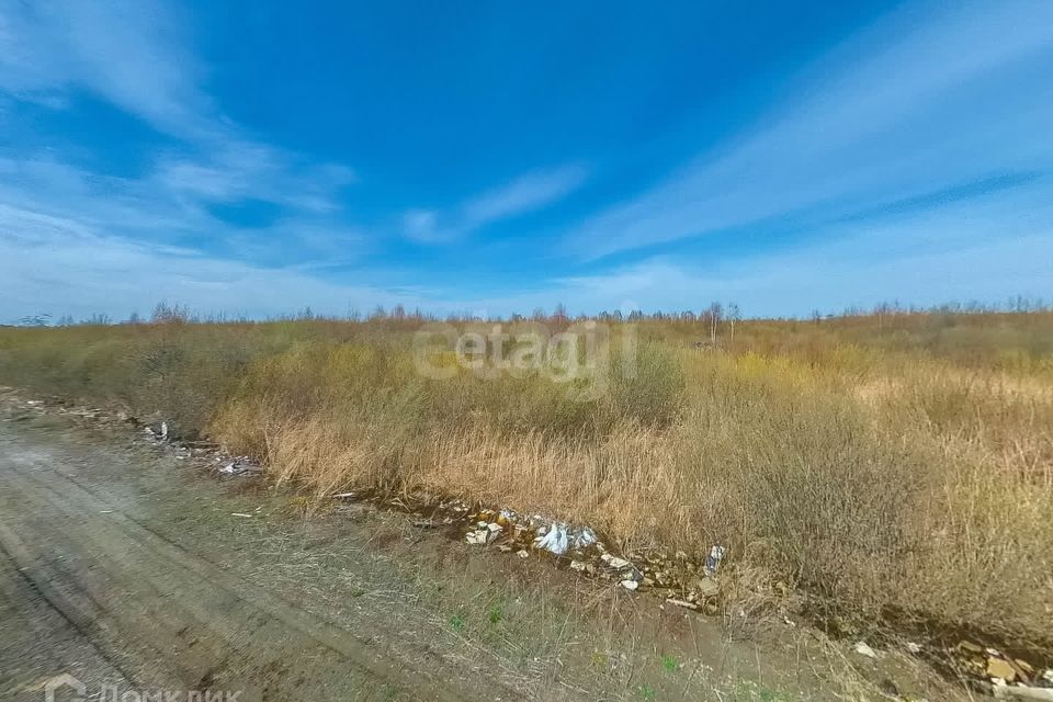 земля г Тюмень Тюмень городской округ, СНТ Березняки фото 4