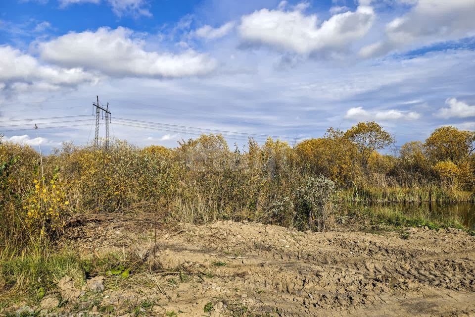 земля г Тюмень снт Малинка ул Липовая Тюмень городской округ фото 4