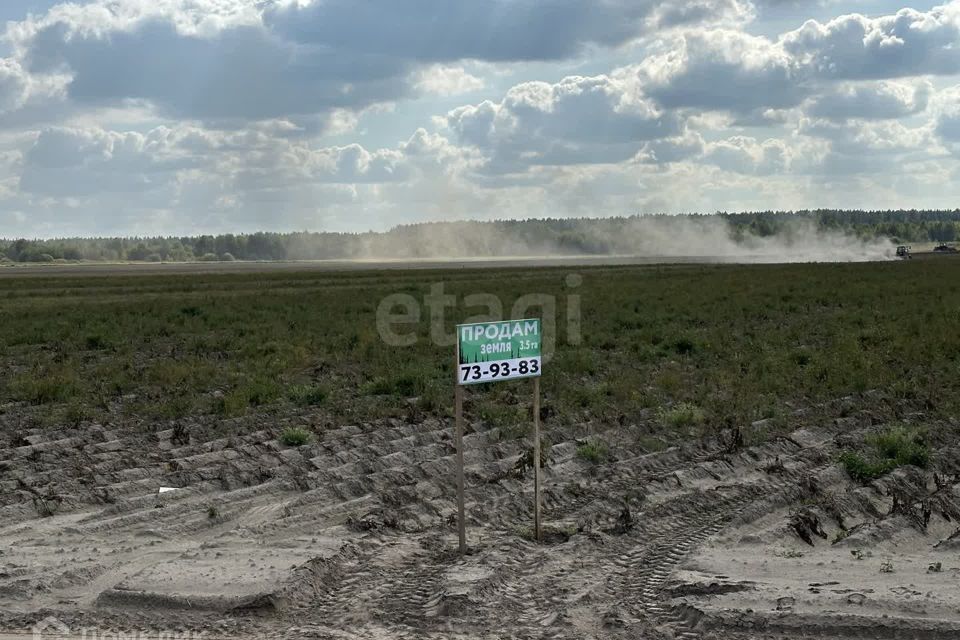 земля р-н Тюменский д. Якуши фото 3