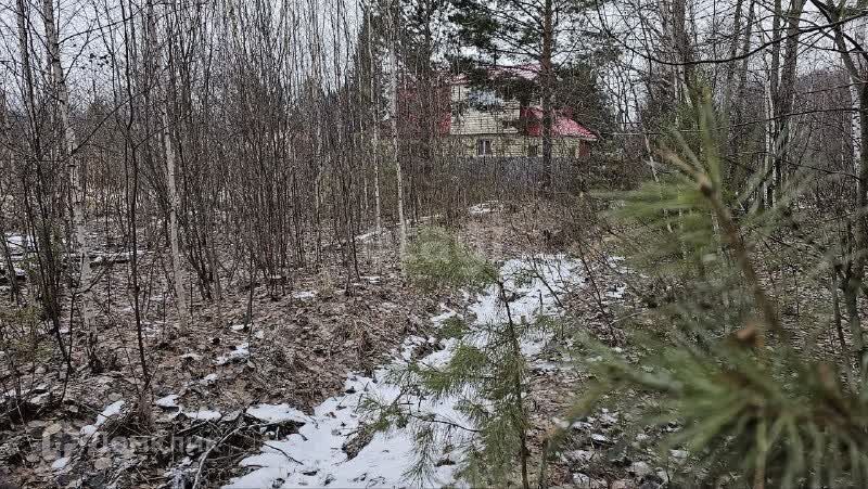 земля г Тюмень Тюмень городской округ, СНТ Лесная Поляна фото 4