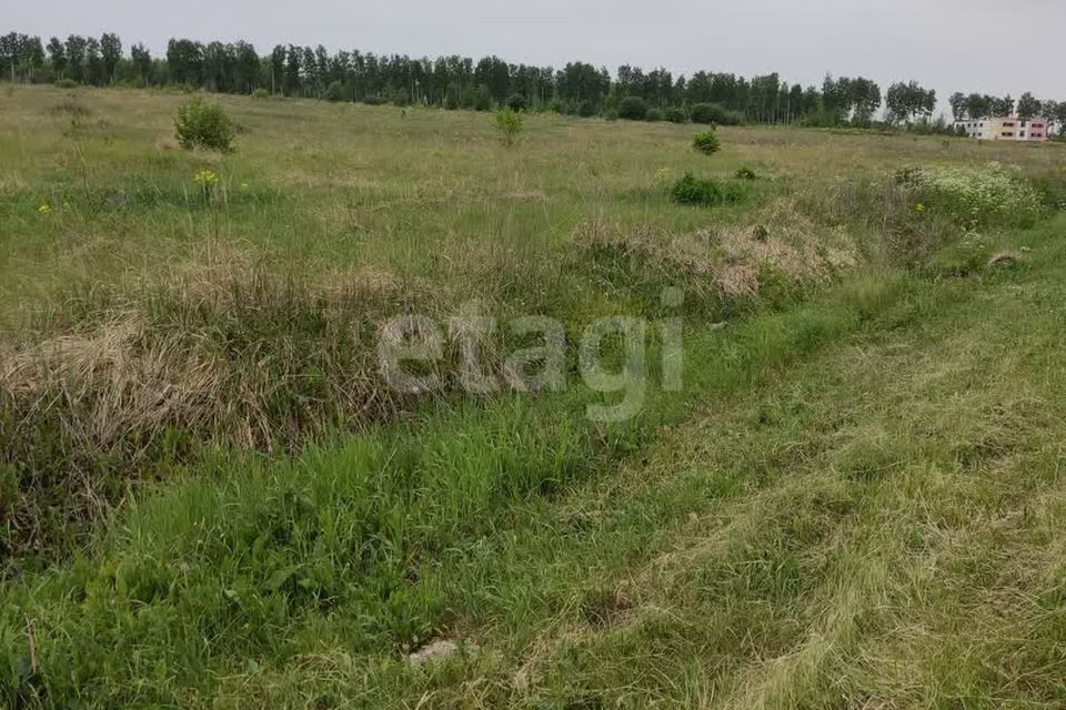 земля р-н Мокшанский с. Рамзай фото 3