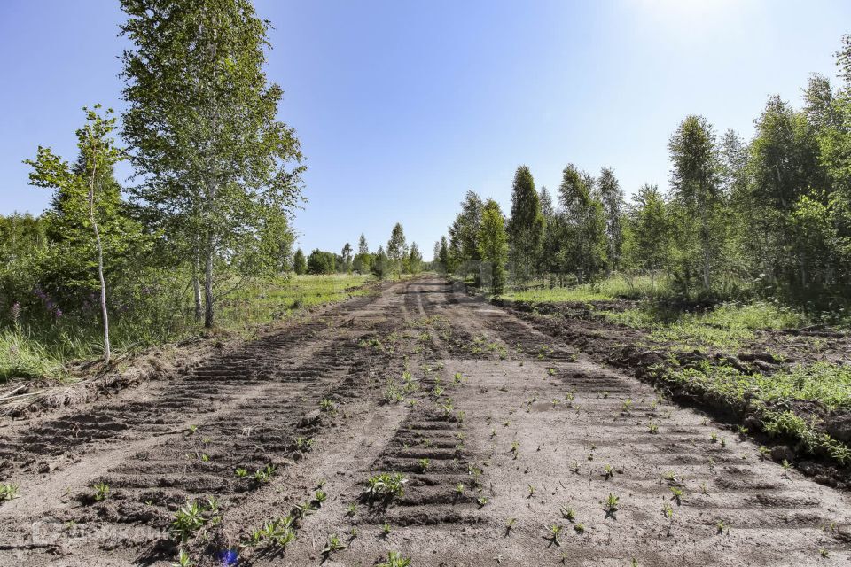 земля р-н Нижнетавдинский пос. Торгили фото 4