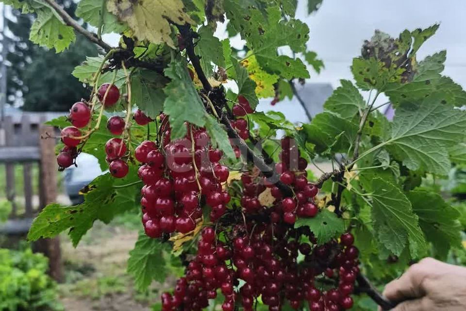 дом р-н Сыктывдинский СНТ Тыла-Ю, 6-й проезд фото 9