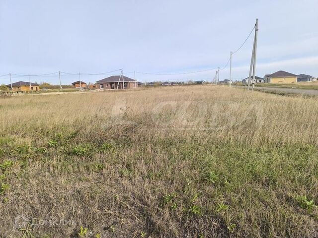 Тюмень городской округ, ДНТ Большое Царёво - 1 фото