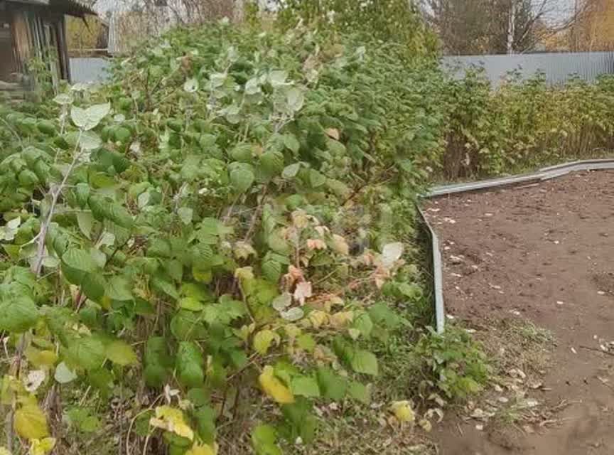 дом р-н Усть-Куломский д Парма Усинск городской округ, Аэродромная улица, 11 фото 9