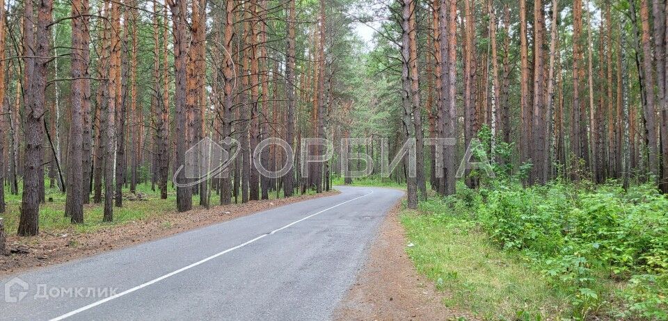 земля г Тюмень снт Зеленая Роща Тюмень городской округ, 4-я улица, 30 фото 10