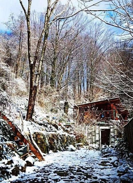 дом городской округ Сочи, 26, СТ Лесник фото 7