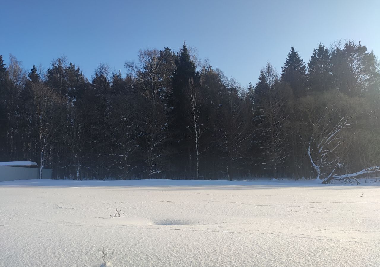 земля городской округ Пушкинский д Нагорное 29 км, Софрино, Ярославское шоссе фото 2