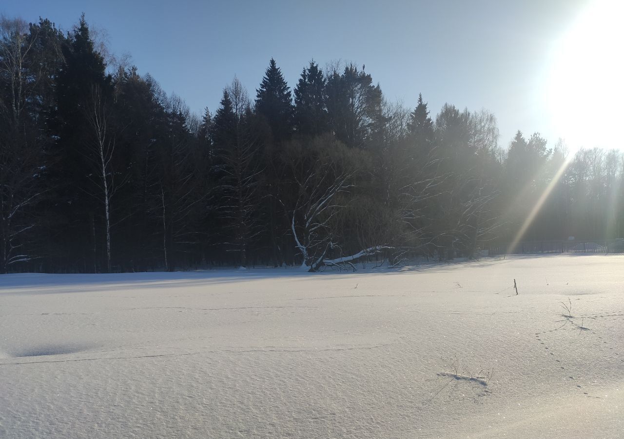 земля городской округ Пушкинский д Нагорное 29 км, Софрино, Ярославское шоссе фото 4