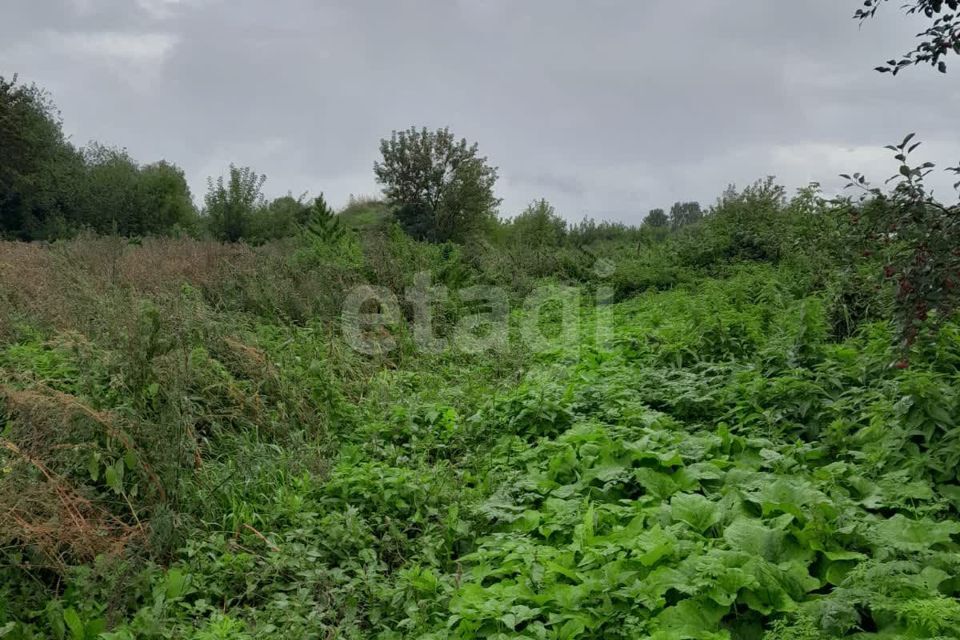 земля р-н Кемеровский Кемеровская область — Кузбасс, Мозжуха фото 5