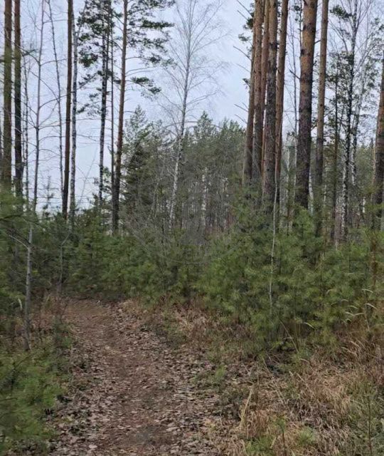 земля г Екатеринбург р-н Октябрьский снт Лесной парк, коттеджный посёлок фото 6