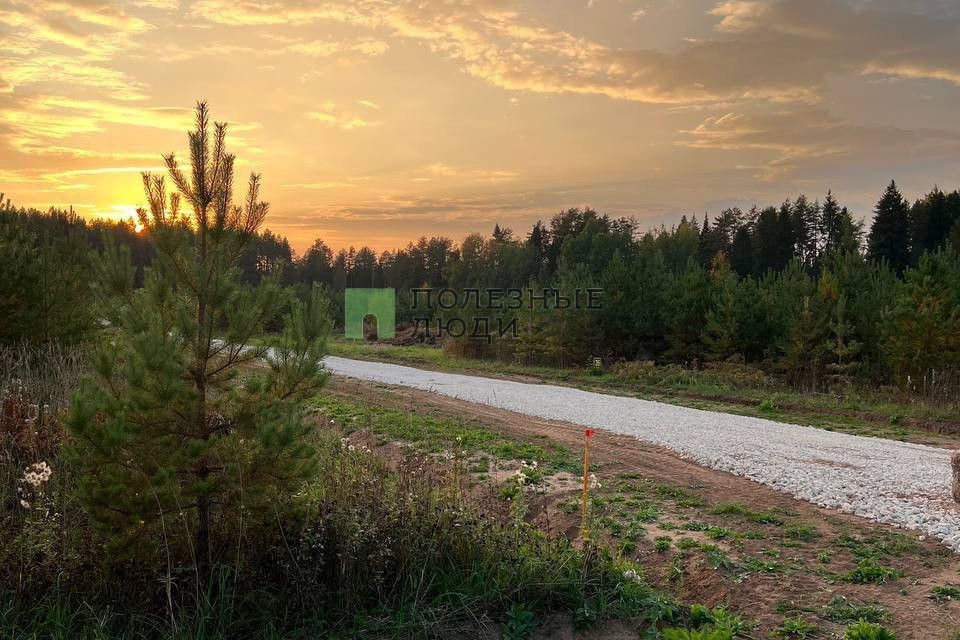 земля р-н Слободской д Подберезы ул Ежевичная Шиховское сельское поселение фото 7