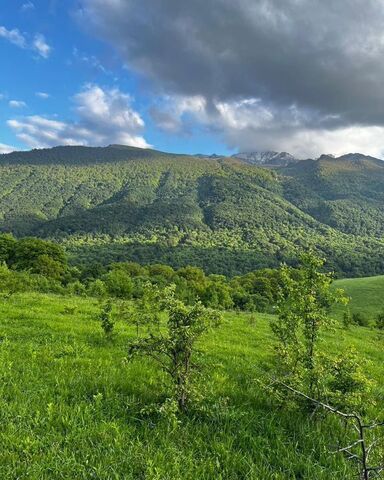 Республика Северная Осетия — Пригородный р-н, Кобанское ущелье фото