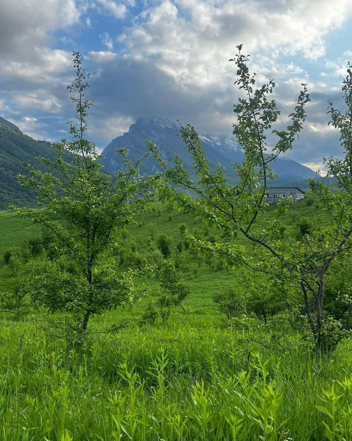 земля р-н Пригородный с Гизель Республика Северная Осетия — Пригородный р-н, Кобанское ущелье фото 2