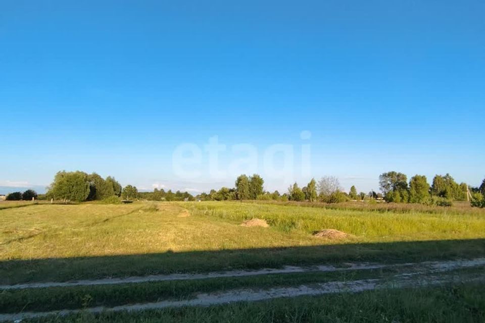 земля г Йошкар-Ола д Шоя-Кузнецово Йошкар-Ола городской округ, деревня Шоя-Кузнецово, 18 фото 5