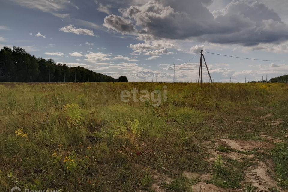 земля р-н Медведевский д Нолька Центральная фото 5