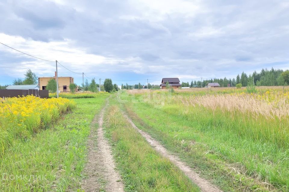 земля г Йошкар-Ола д Шоя-Кузнецово Йошкар-Ола городской округ, Счастливая фото 5