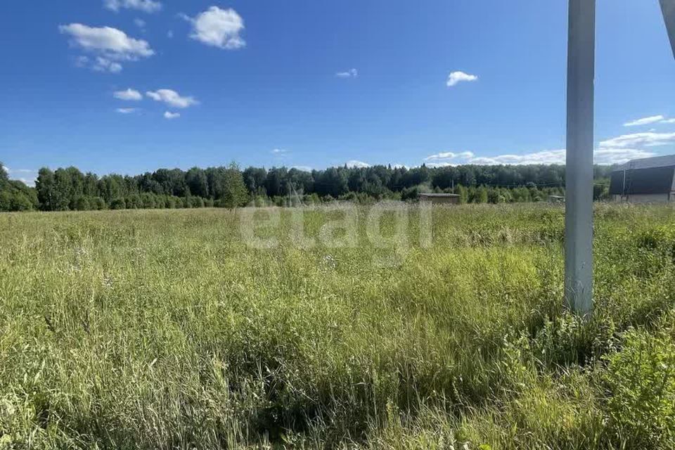 земля р-н Медведевский д. Ореховка фото 6