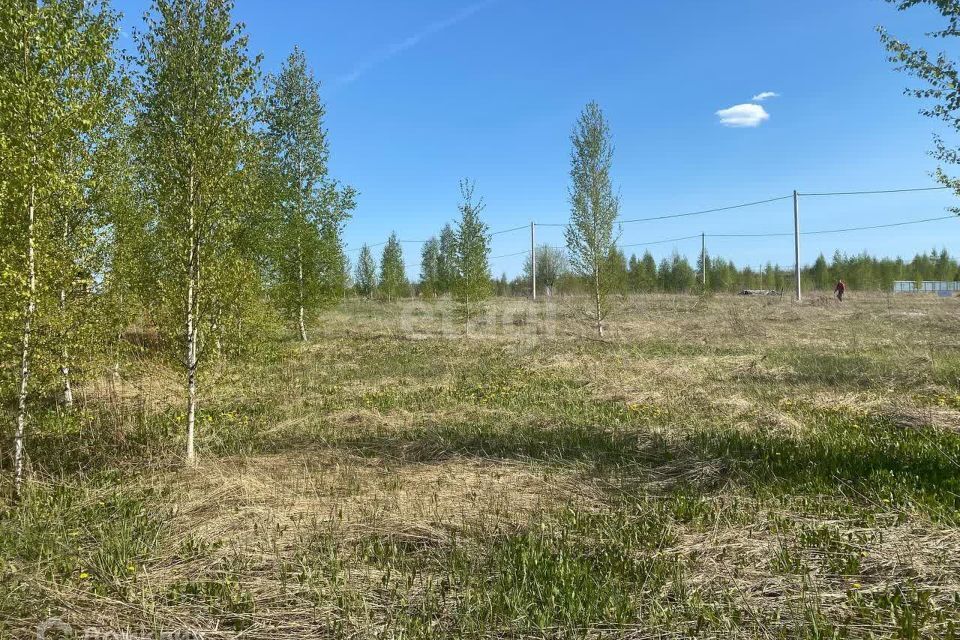 земля г Йошкар-Ола д Апшакбеляк Йошкар-Ола городской округ, Объект фото 7