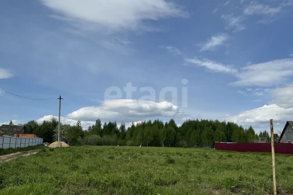 земля р-н Медведевский д. Крутой Овраг фото 5