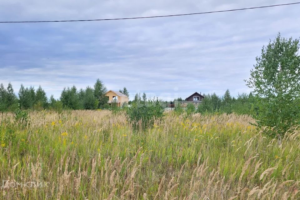 земля г Йошкар-Ола д Шоя-Кузнецово Йошкар-Ола городской округ, Счастливая фото 9