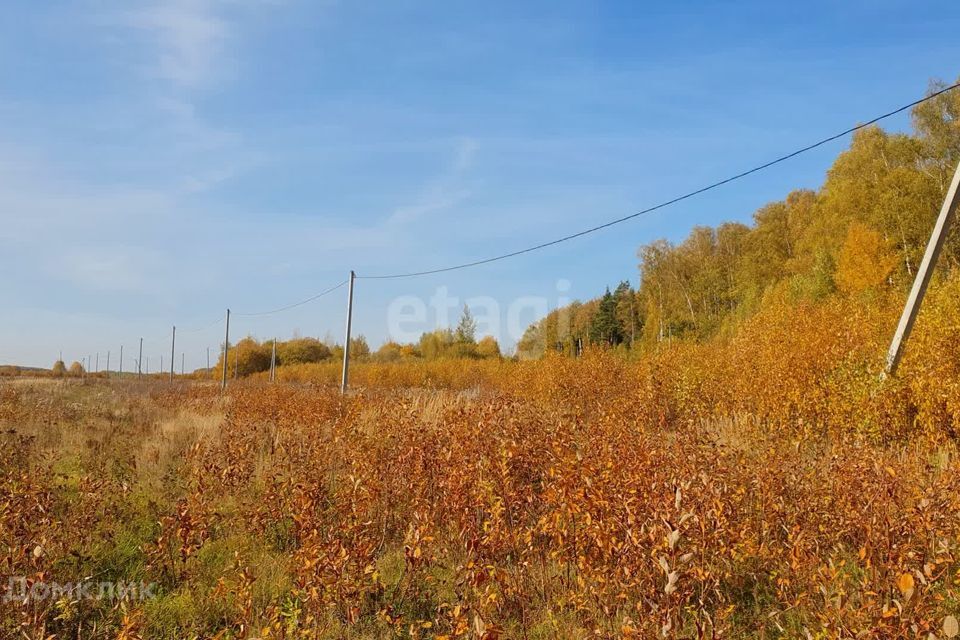 земля р-н Медведевский д Нолька Центральная фото 6