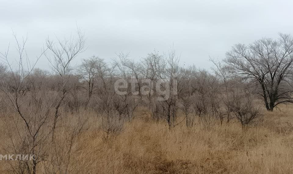 земля р-н Усть-Абаканский с. Зелёное фото 9