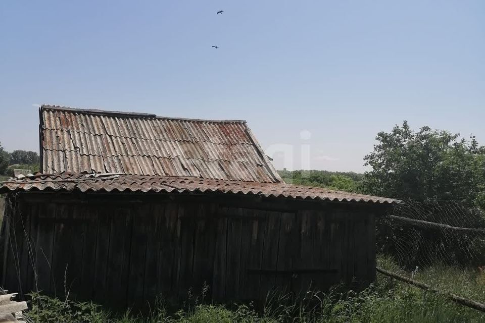 дом р-н Новичихинский с Новичиха пер Школьный 5 Новичихинский сельсовет фото 7