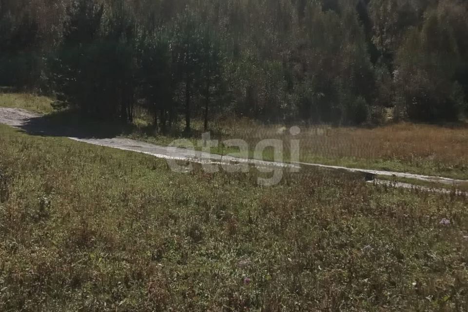 земля р-н Чемальский с. Чемал фото 6