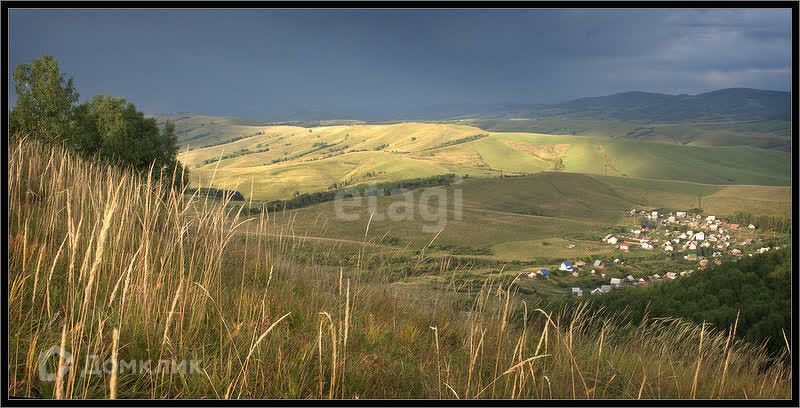 земля р-н Майминский фото 5