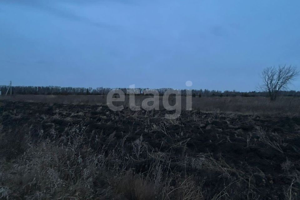 земля г Камышлов улица Васильева, Камышловский городской округ фото 7