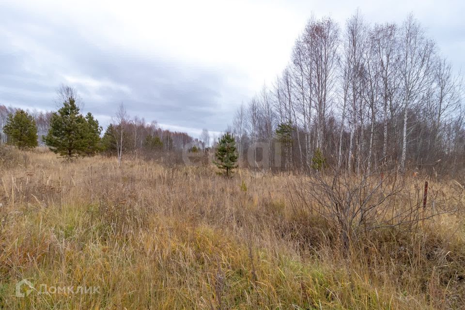 земля г Тюмень Тюмень городской округ, СНТ Светлое фото 6