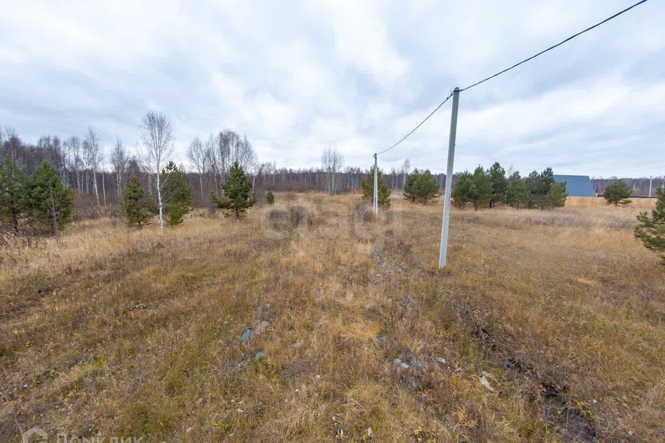 земля г Тюмень Тюмень городской округ, СНТ Светлое фото 7