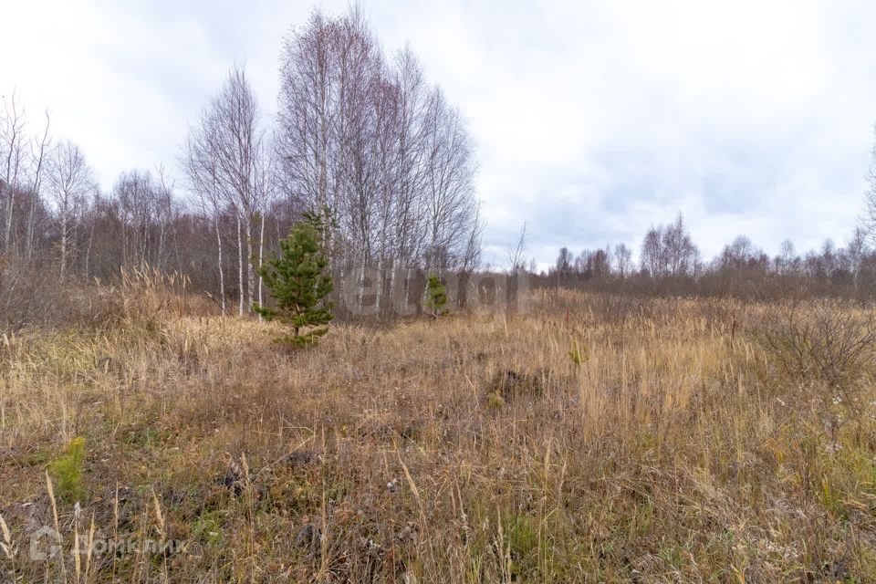 земля г Тюмень Тюмень городской округ, СНТ Светлое фото 8