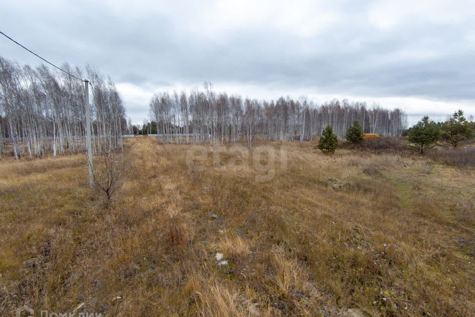 земля г Тюмень Тюмень городской округ, СНТ Светлое фото 9