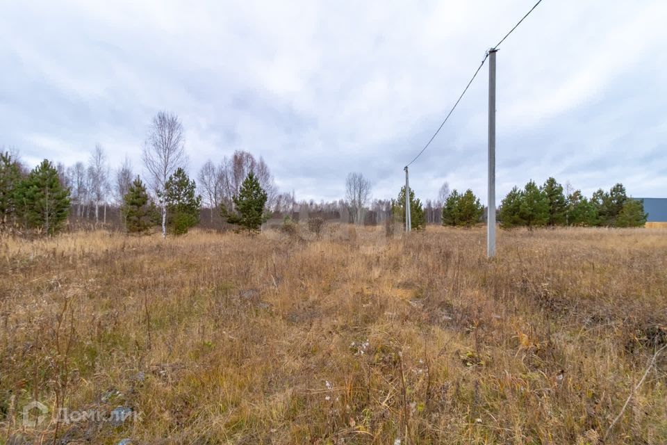 земля г Тюмень Тюмень городской округ, СНТ Светлое фото 10