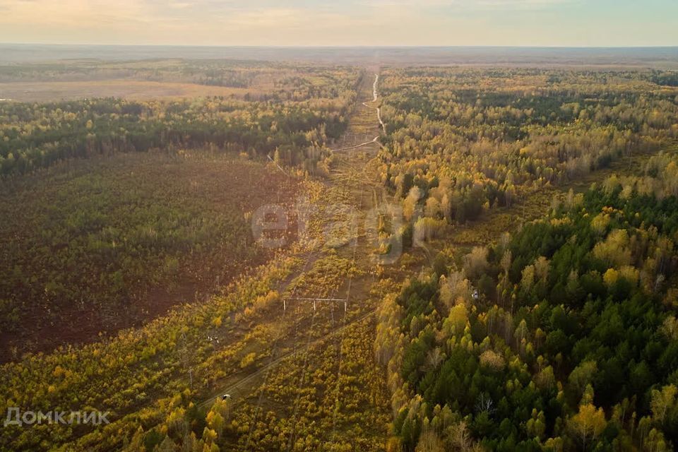 земля р-н Тюменский с. Салаирка фото 6