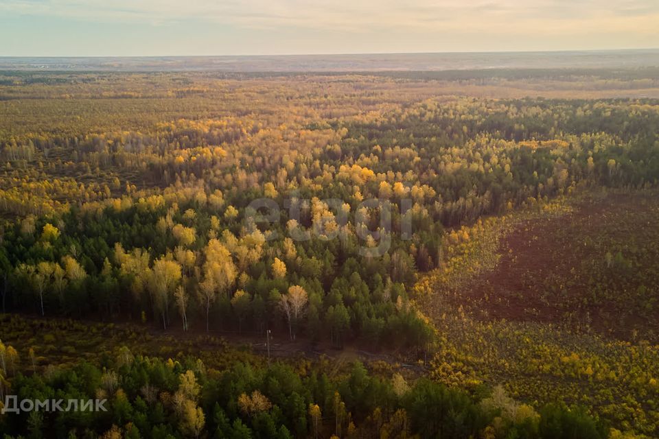 земля р-н Тюменский с. Салаирка фото 7