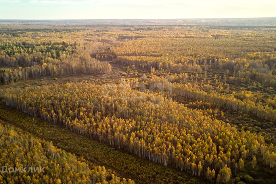 земля р-н Тюменский с. Салаирка фото 9