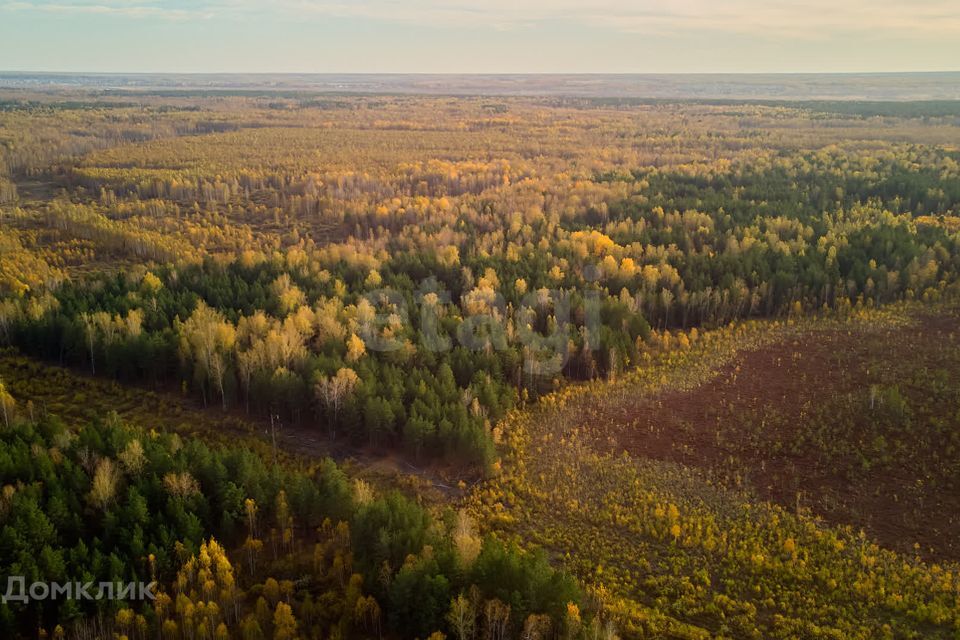 земля р-н Тюменский с. Салаирка фото 10