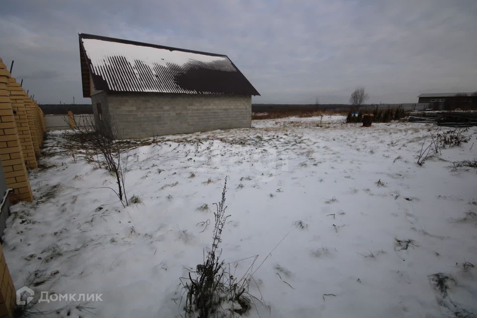 земля р-н Тюменский д. Насекина фото 6