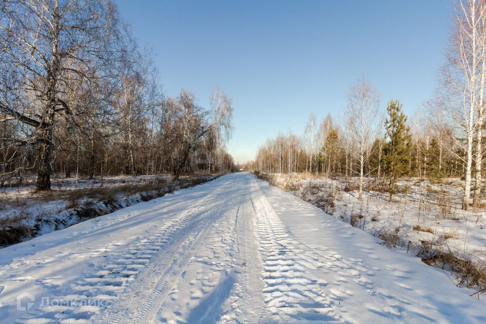 земля р-н Ленинский с. Каменское фото 9