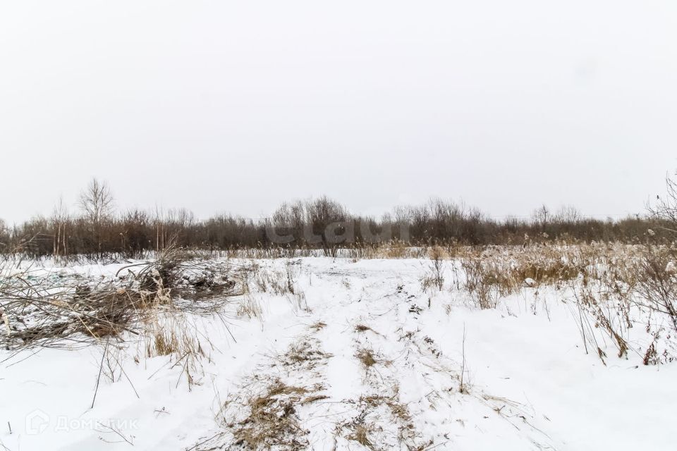 земля г Тюмень Тюмень городской округ, СНТ Березняки фото 5