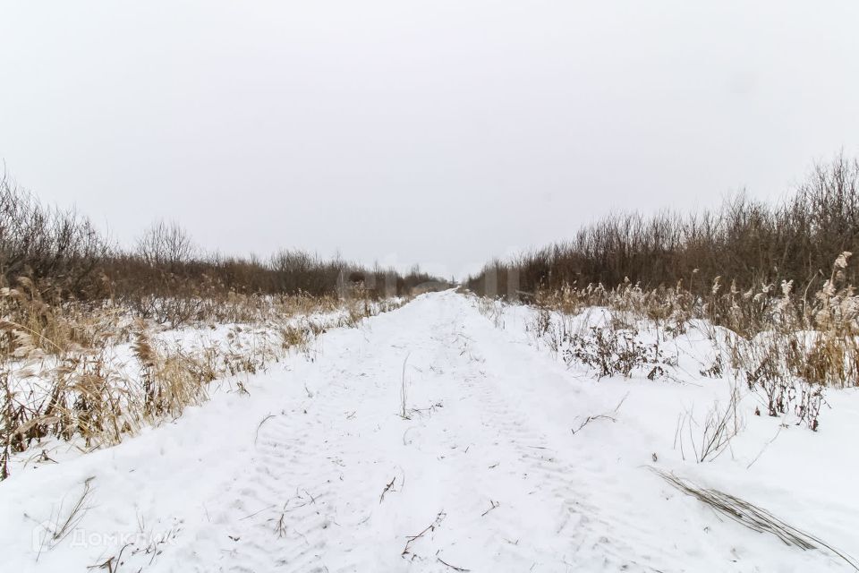 земля г Тюмень Тюмень городской округ, СНТ Березняки фото 6