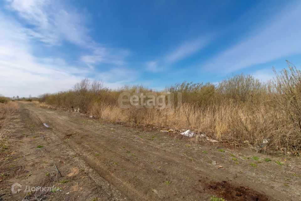 земля г Тюмень Тюмень городской округ, СНТ Березняки фото 8